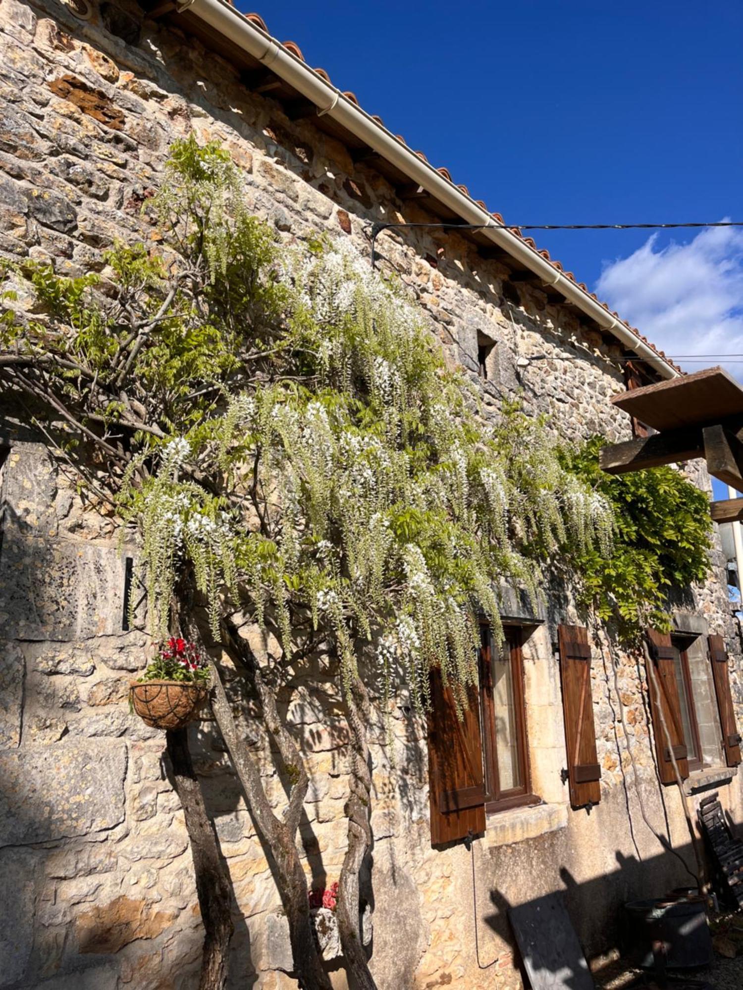 Apartamento Le Plantier 1 Beaulieu-sur-Sonnette Exterior foto